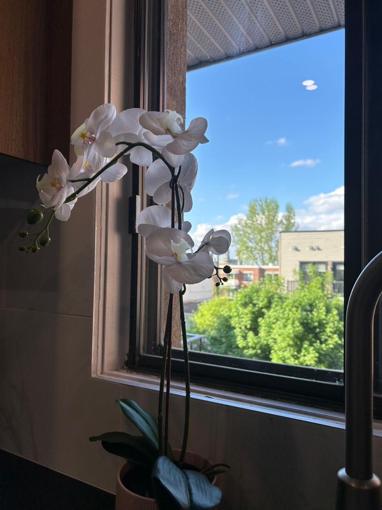 Orchid Lodgement Montréal Esterno foto